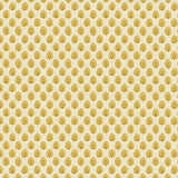 DORA Kiwi // wallpaper