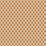 DORA Robin // wallpaper