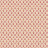 DORA Shrimp // wallpaper