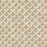 PETAL Jay // wallpaper