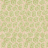 REBEL Baobab // wallpaper