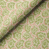 REBEL Baobab // wallpaper